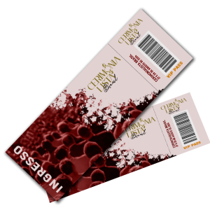 Lote 3 - Inscrição Cerimonialista Brasil 2024